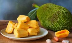 Buah Nangka Memiliki Beberapa Khasiat Bagi Tubuh