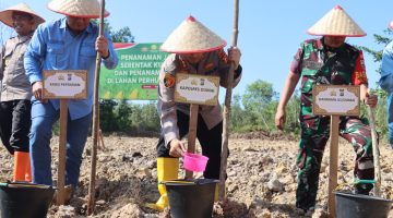 Dalam Rangka Program Nasional Ketahanan Pangan, Polres Dumai Menanam Jagung Secara Serentak