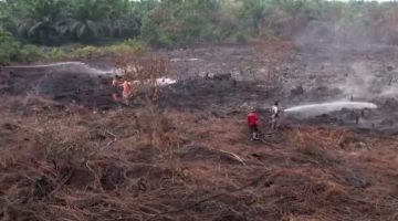 15 Hektare Kebakatan Lahan Terjadi di Kota Dumai, Petugas Gabungan Ikut Memadamkan Api