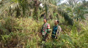 Babinsa Koramil 04/Rupat dan Warga Laksanakan Patroli Karhutla di Desa Parit Kebumen