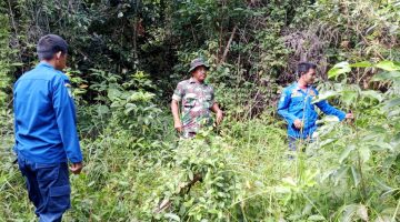 Babinsa 04/Rupat Laksanakan Patroli Karhutla di Kelurahan Pergam