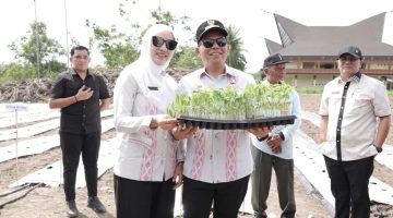 Dukung Ketahanan Pangan, PMA Bersama Ketua TP-PKK Ikut Menanam Cabe