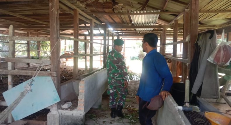 foto slider headline