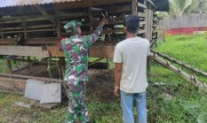 Pemantauan PMK di Desa Pangkalan Pinang, Tidak Ditemukan Kasus