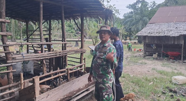 foto slider headline