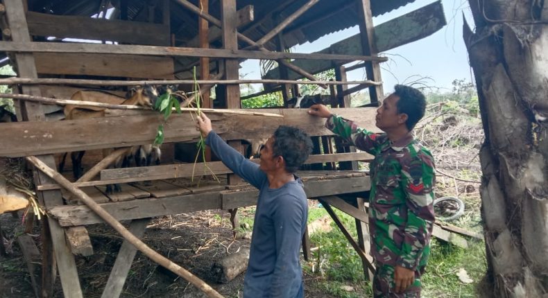 foto slider headline