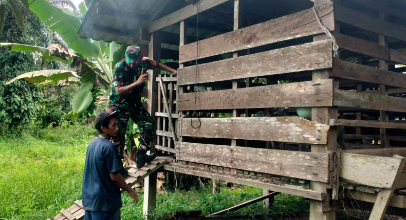 foto slider headline