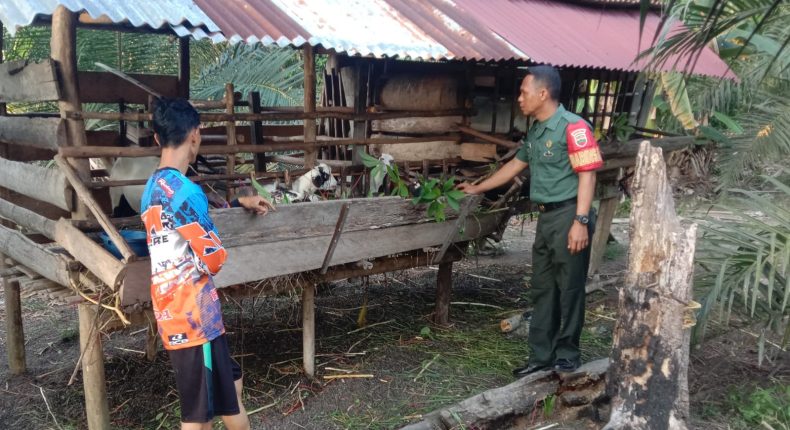 foto slider headline