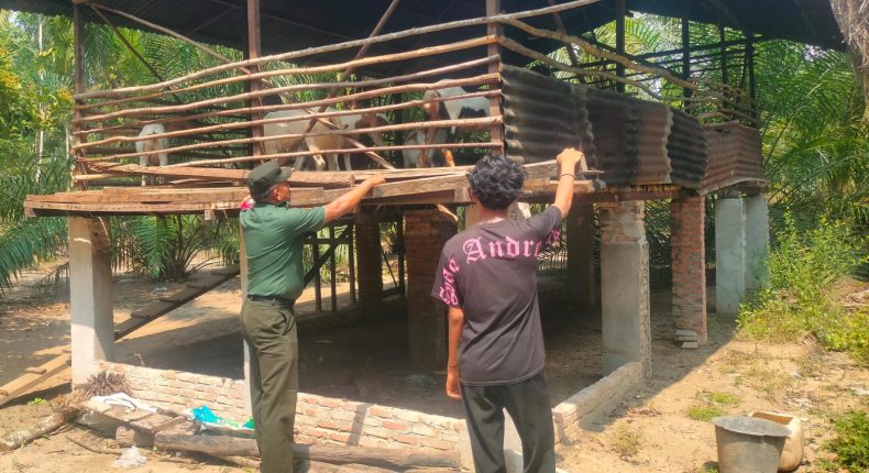 foto slider headline