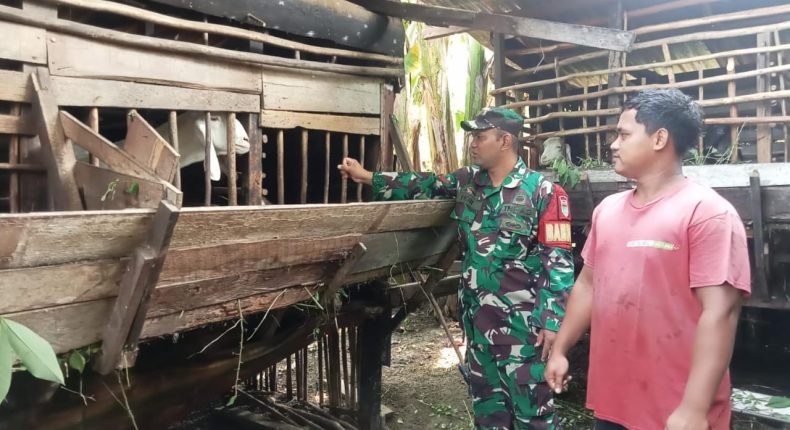 foto slider headline